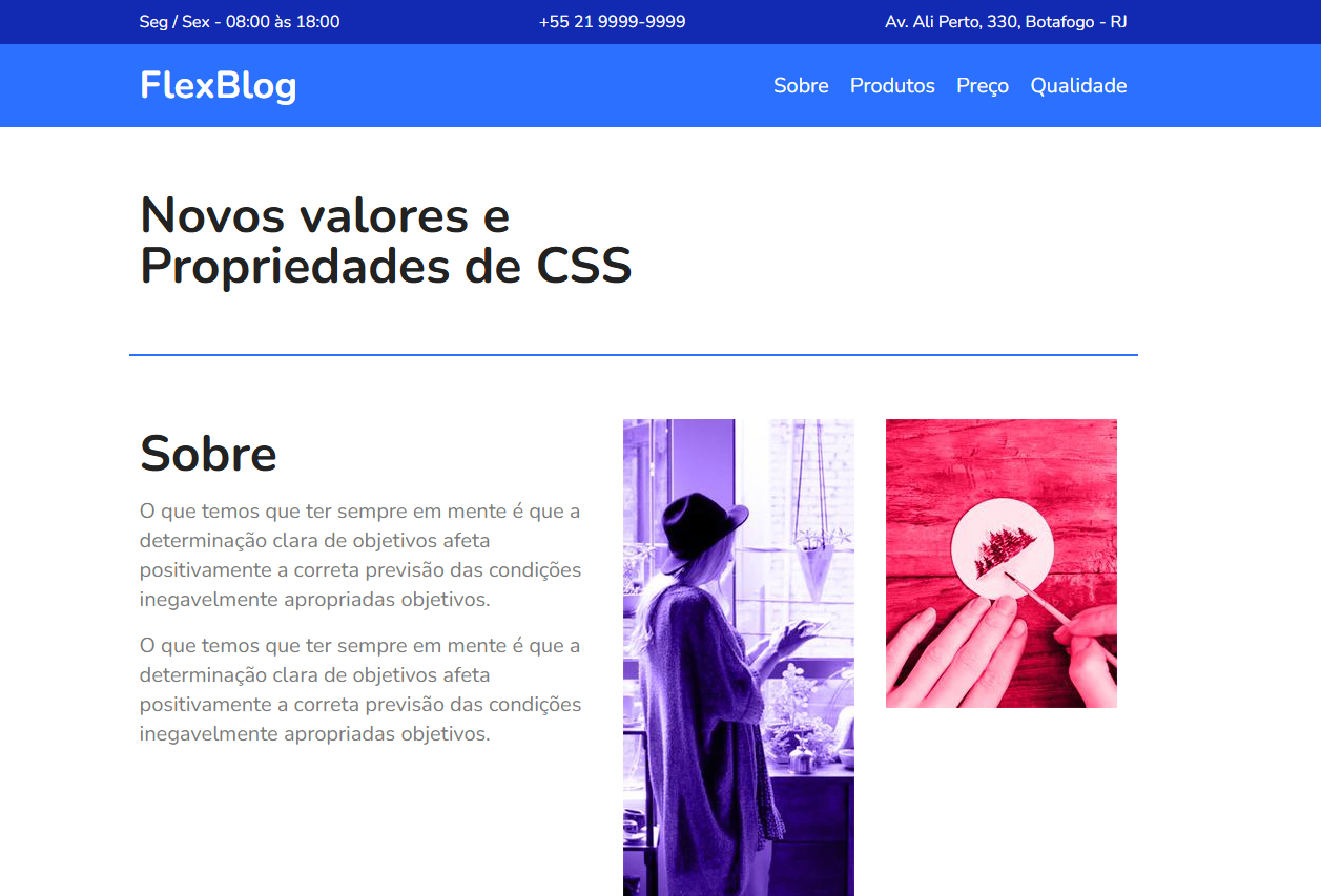 preview projeto Flexblog