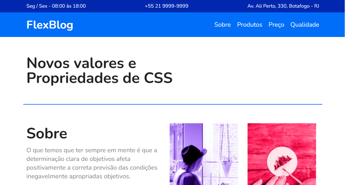 Preview do projeto Flexblog