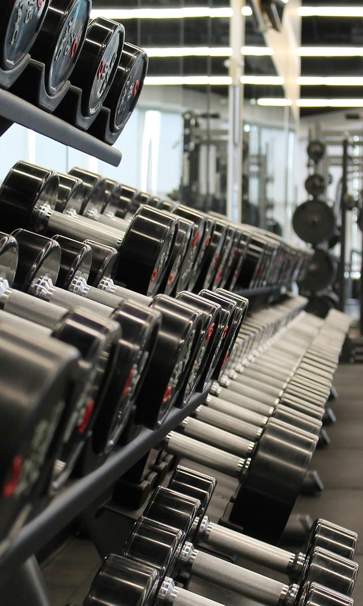 Rack com halteres organizados na área de musculação